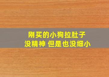 刚买的小狗拉肚子 没精神 但是也没细小